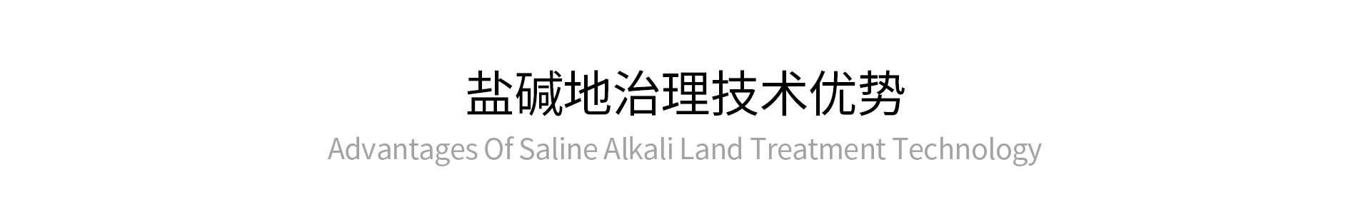 鹽堿地治理技術(shù)優(yōu)勢(shì)